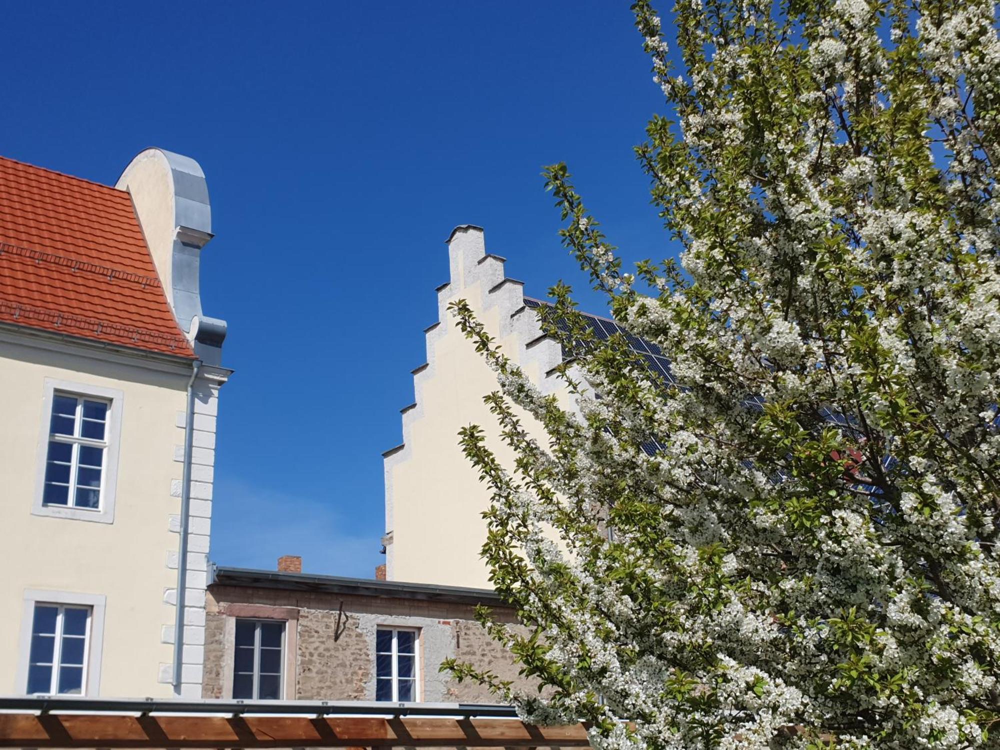 Sonnenschloss Walbeck  Экстерьер фото